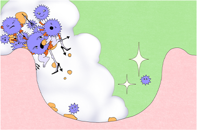 殺菌成分配合*の泡でおそうじ！ ＊殺菌有効成分イソプロピルメチルフェノール