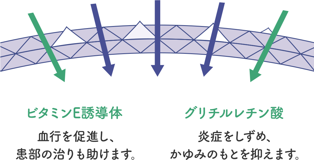 ビタミンE誘導体&hellip;血行を促進し、患部の治りも助けます。 グリチルレチン酸&hellip;炎症をしずめ、かゆみのもとを抑えます。