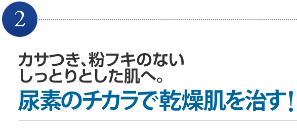 カサつき、粉フキのないしっとりとした肌へ。