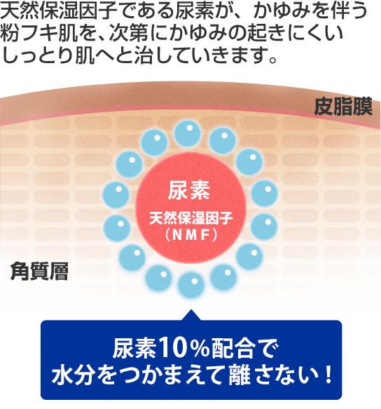 尿素のチカラで乾燥肌を治す！