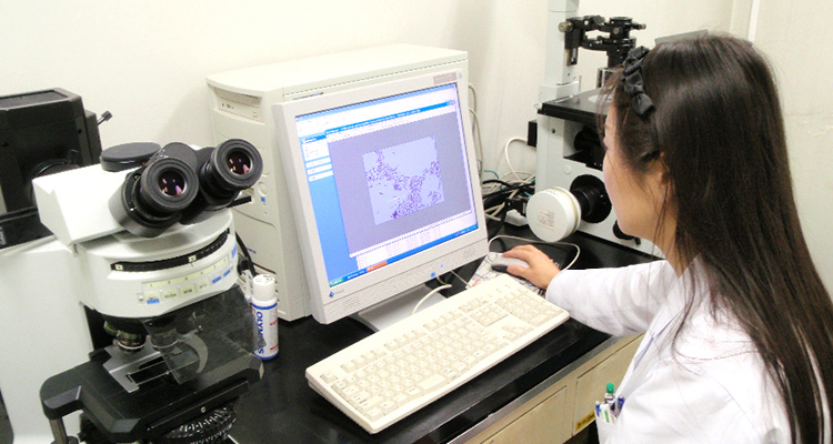 百年樂敦，製藥品質——樂敦品質設計中心