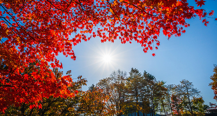 當心不經意間的皮膚老化！不容小覷的秋冬紫外線