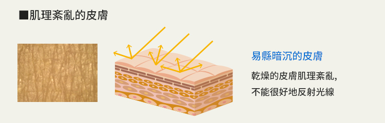 肌理紊亂的皮膚