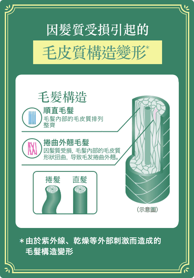 造成頭髮毛躁捲曲的原因