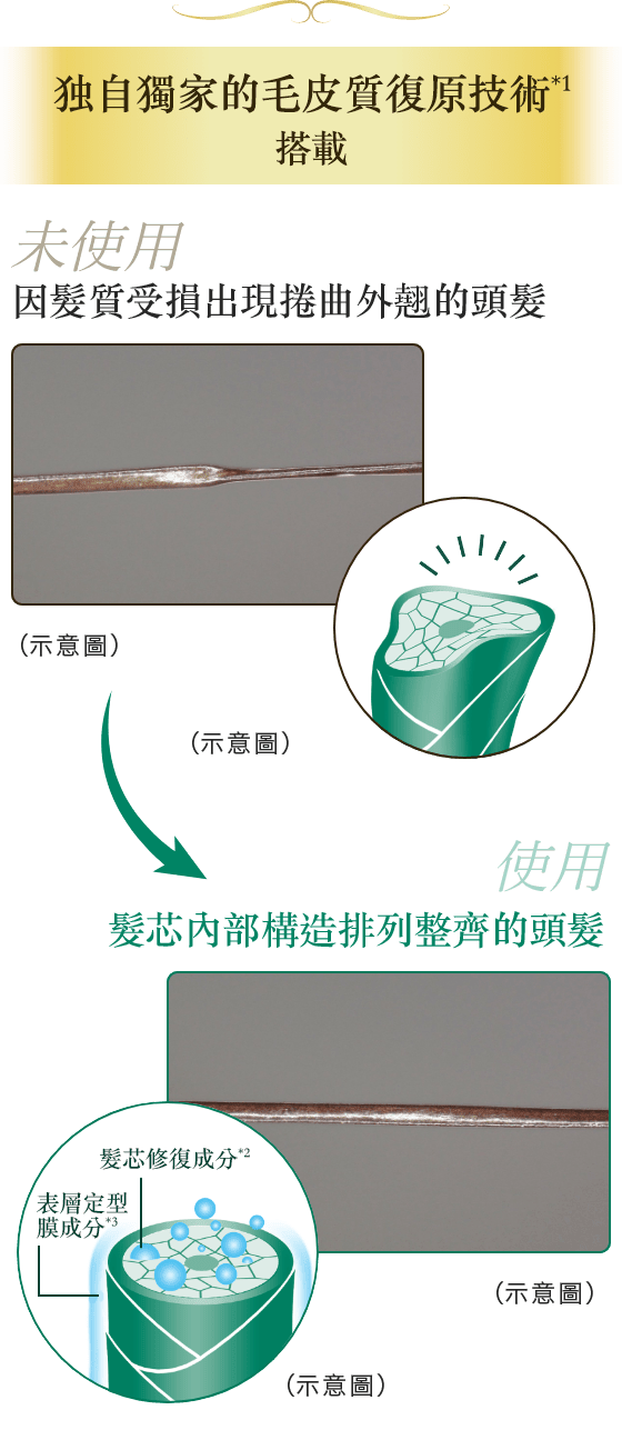 關於樂敦Gyutto質感整形髮膜