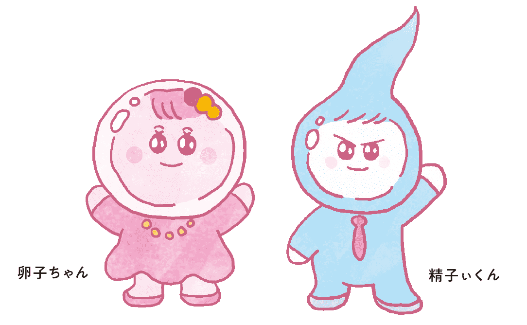 めげない！卵子ちゃん！