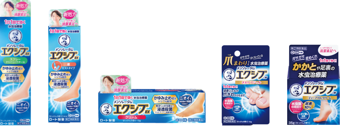 エクシブ商品ラインナップ