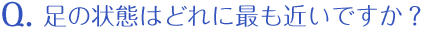 足の状態はどれに最も近いですか？
