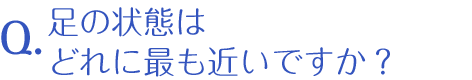足の状態はどれに最も近いですか？