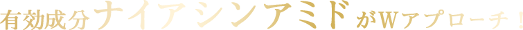 有効成分ナイアシンアミドがWアプローチ！