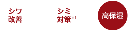 シワ改善 ＋ シミ対策※１ ＋ 高保湿