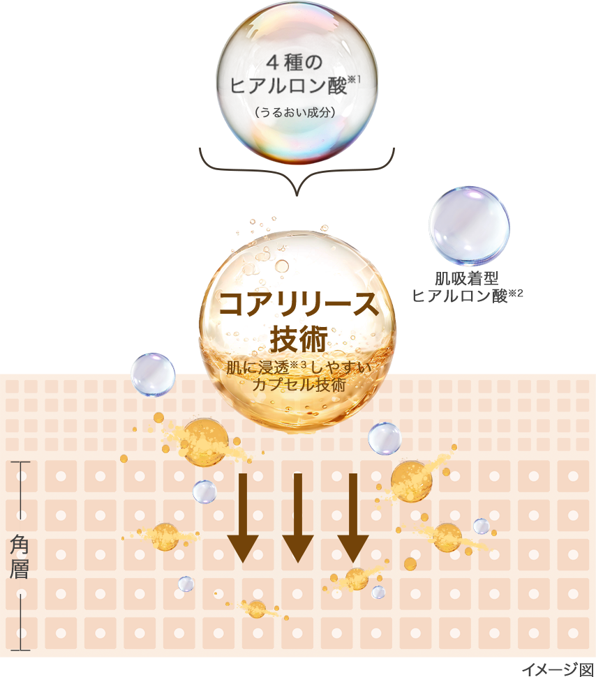 イメージ図 コアリリース技術 肌に浸透※３しやすいカプセル技術 ４種のヒアルロン酸※1（うるおい成分） 肌吸着型ヒアルロン酸※2 ※角層まで