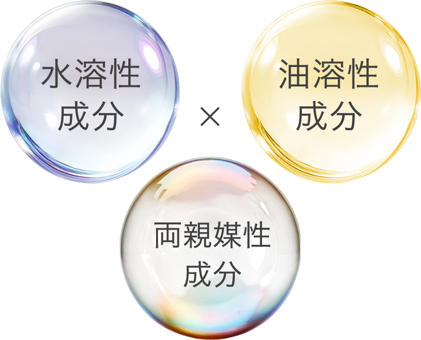 水溶性成分✕油溶性成分✕両親媒性成分