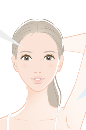 顔の肌と二の腕の内側の肌を指した図