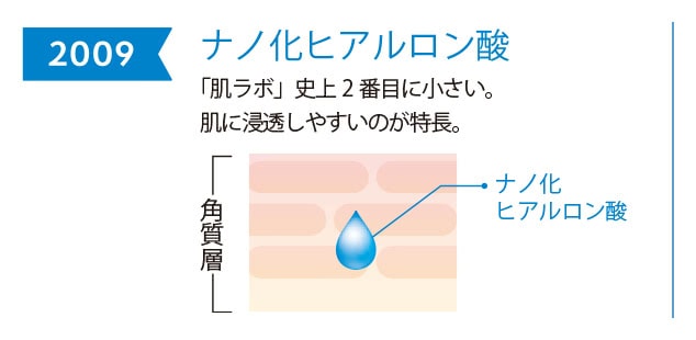 2009年 ナノ化ヒアルロン酸