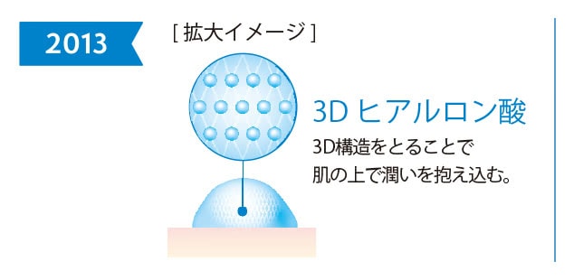 2013年 3Dヒアルロン酸