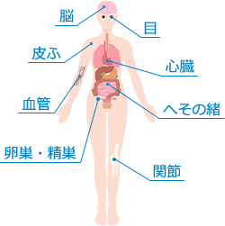 脳、目、皮ふ、心臓、血管、へその緒、卵巣・精巣、関節