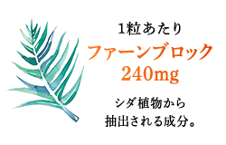 1粒あたりファーンブロック240mg シダ植物から抽出される成分。