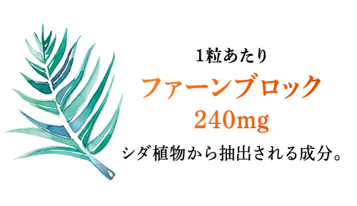 1粒あたりファーンブロック240mg シダ植物から抽出される成分。
