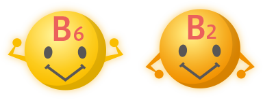 ビタミンB6 ／ビタミンB２