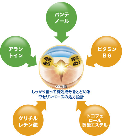 しっかり覆って有効成分をとどめるワセリンベースの処方設計