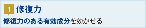1.修復力：修復力のある有効成分を効かせる