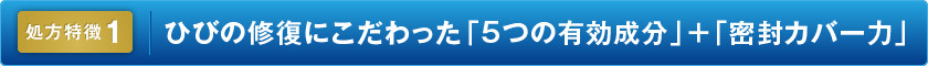 処方特徴1：ひびの修復にこだわった「5つの有効成分」+「密封カバー力」
