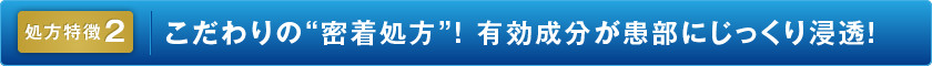 処方特徴2：こだわりの“密着処方”！ 有効成分が患部にじっくり浸透！