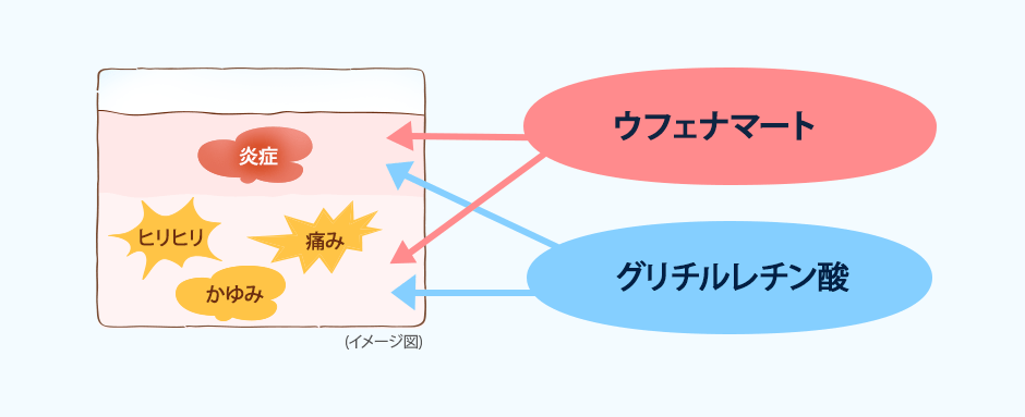（イメージ図）ウフェナマート、グリチルレチン酸→炎症、ヒリヒリ、かゆみ、痛み。。
