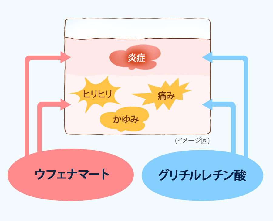 （イメージ図）ウフェナマート、グリチルレチン酸→炎症、ヒリヒリ、かゆみ、痛み。