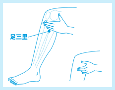 足三里（あしさんり）