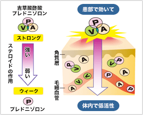 アンテドラッグステロイド