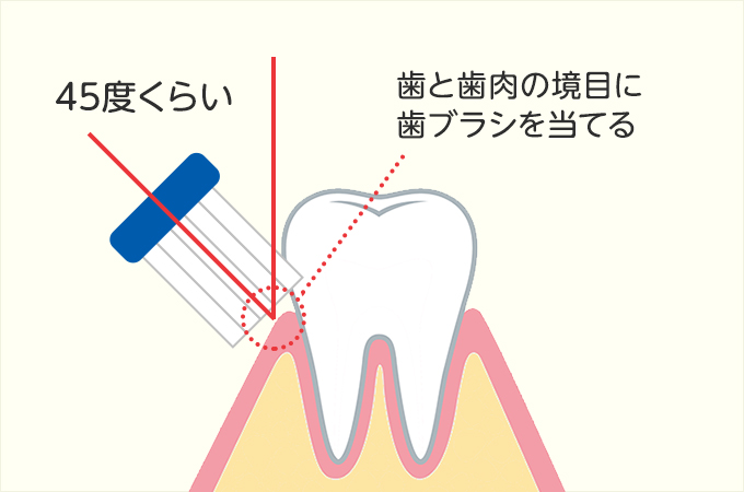 正しい歯みがき