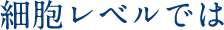 細胞レベルでは