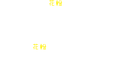 花粉の季節。 目がかゆくなるだけではなく、 充血したり、炎症してなみだ目になることも。 だから花粉の季節も、目を守りたい。 大阪開催を超える約500機のドローンが、 豊洲の夜空を彩ります。