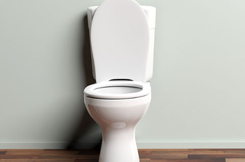 排便リズムが整っていない