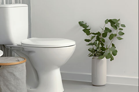 便意を逃がさない！朝はトイレに行く習慣をつけよう