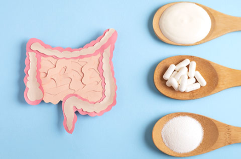 乳酸菌・ビフィズス菌を含む食品を食べよう