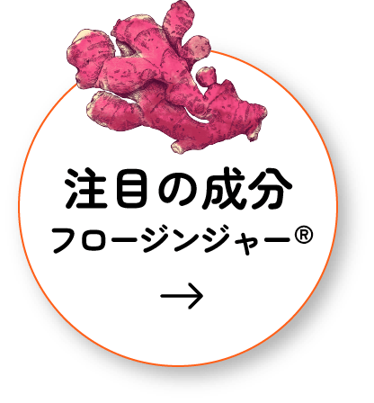 注目の成分フロージンジャー™