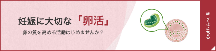 妊娠に大切な「卵活」 卵の質を高める活動はじめませんか？ 詳しくはこちら
