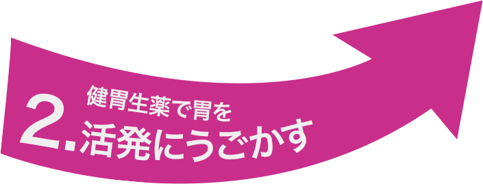 2.健胃生薬で胃を活発にうごかす