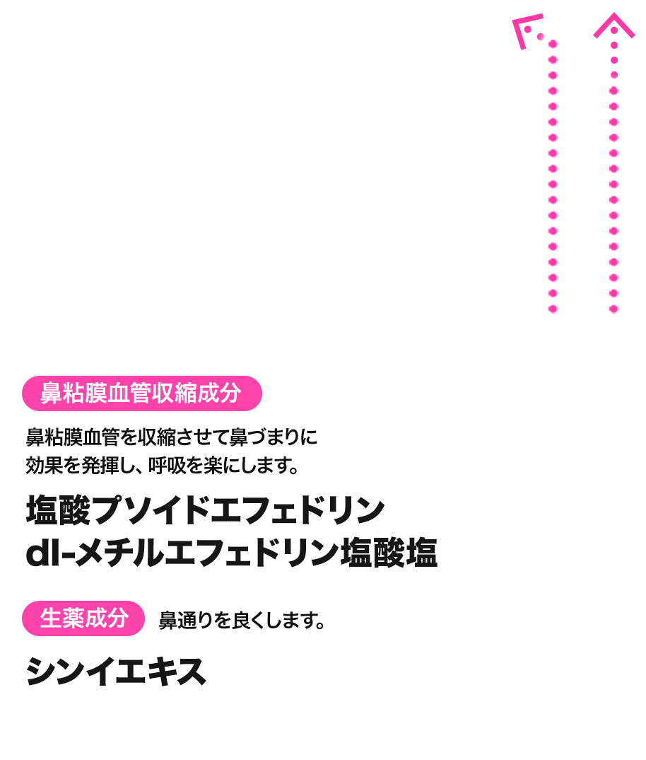 塩酸プソイドエフェドリン、dl-メチルエフェドリン塩酸塩。鼻粘膜血管収縮成分：鼻粘膜血管を収縮させて鼻づまりに効果を発揮し、呼吸を楽にします。シンイエキス。生薬成分：鼻通りを良くします。