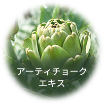 アーティチョークエキス