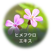 ヒメフウロエキス