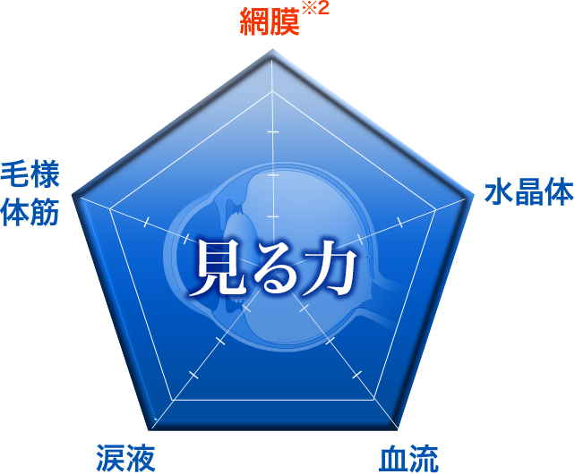 見る力：毛様体筋／網膜※／血流／涙／水晶体