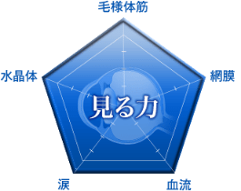 見る力