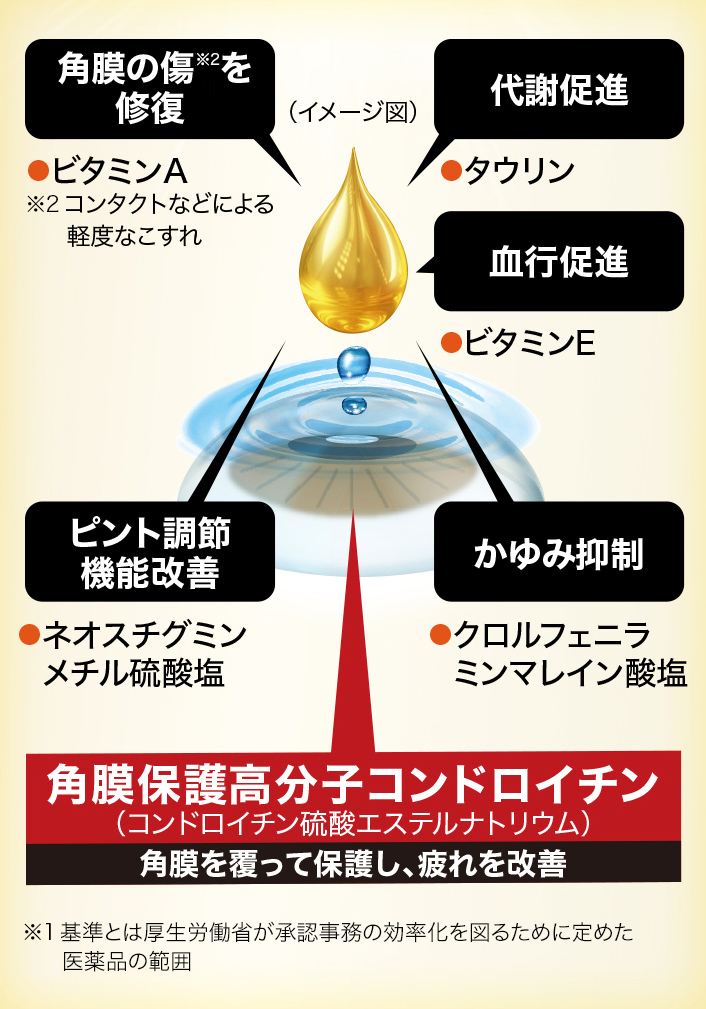 角膜保護高分子コンドロイチン（コンドロイチン硫酸エステルナトリウム）角膜を覆って保護し、疲れを改善