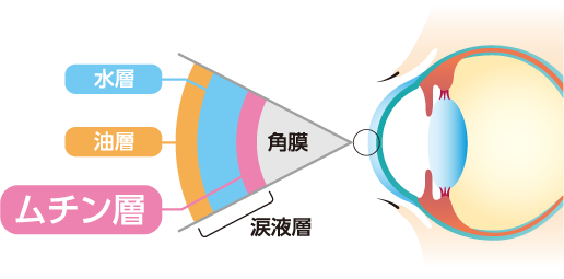 涙の三層構造の図