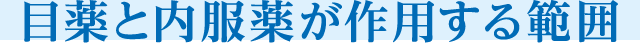 目薬と内服薬が作用する範囲