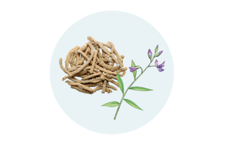 物忘れを改善する「オンジ」